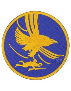 Insigne, 1st Troop Carrier Command