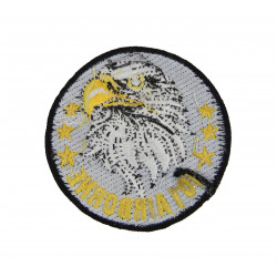 Patch, Aigle, 101st Airborne