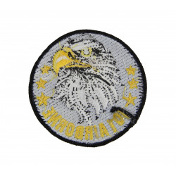 Patch, Eagle, 101st Airborne