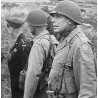 Insigne, 35th Infantry Division