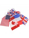 Flags, Guarland Flags, Guarland