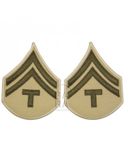 T/5 rank insignia, summer