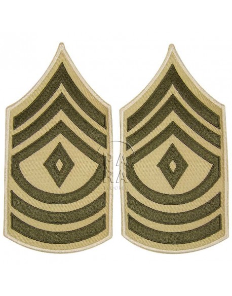 First Sergeant rank insignia, summer