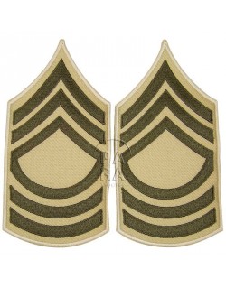 Master Sergeant rank insignia, summer