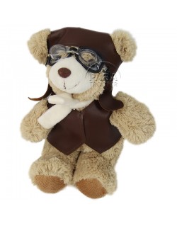 Teddy bear, pilote