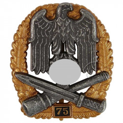 Badge, General assault, 75