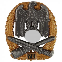 Insigne d'assaut général, 75 assauts
