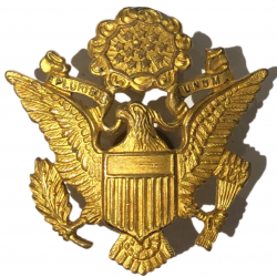 Insignia, Cap, Officer, US Army, Acid Test