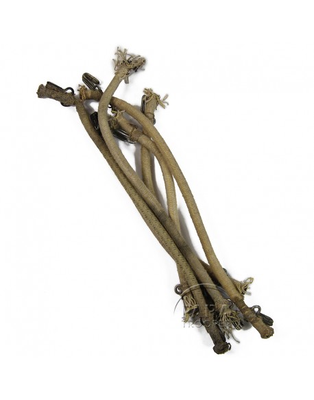 T-5 Reserve chute white benji cords T-5 Reserve chute white benji cords