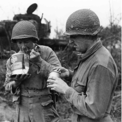 Net, Helmet, M1, Small Mesh, Normandy