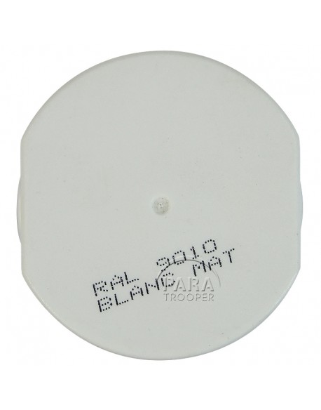 Paint, US Army,  spray, mat white