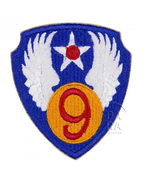 9th US Air Force insignia