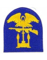 Insignia, ESB Insignia, ESB