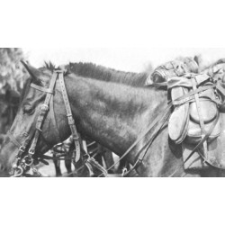 Saddle bags, Cavalry, Packtasche 34, 1943