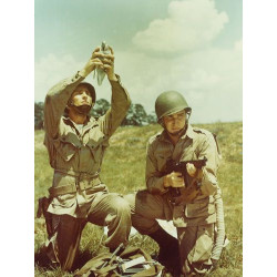 Container à pigeons PG-101/CB, US Army