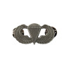 Wings, Parachutist, with clutch