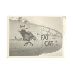 Photo, USAAF, B-25, Nose Art, Fat Cat