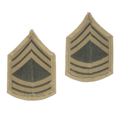Grades en tissu, Master Sergeant, Chino