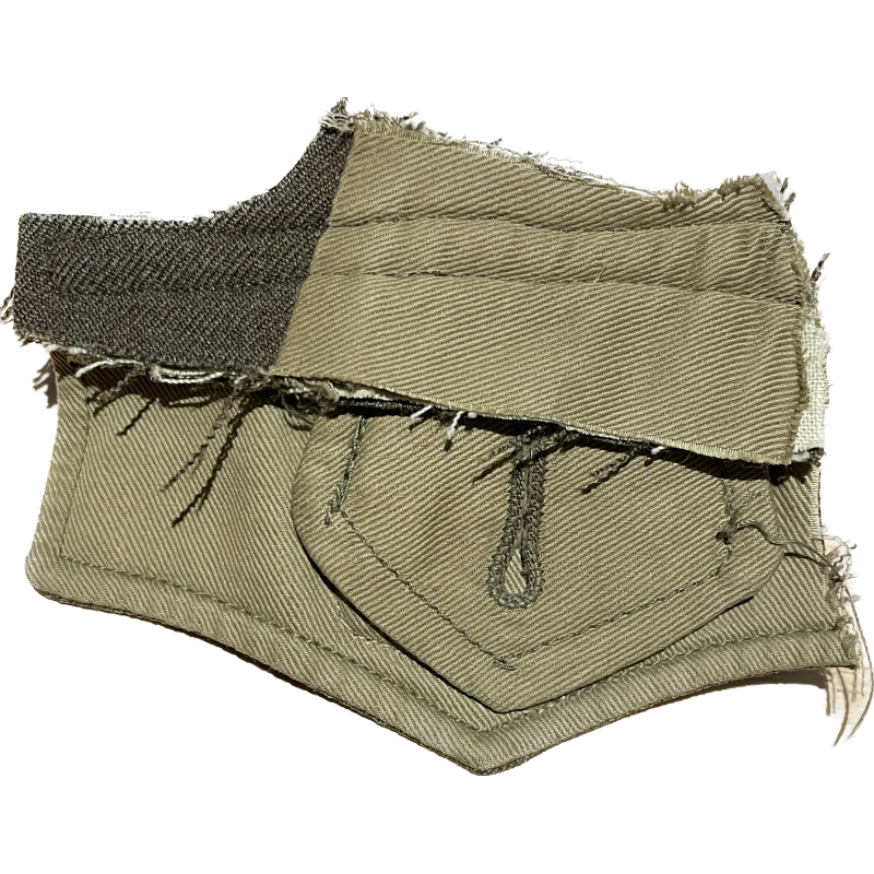 Insignia, Eastern Defense Command