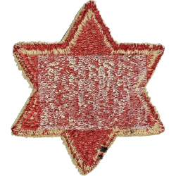 Patch, 6th Infantry Division