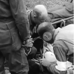 Ciseaux à pansement, Medic, US Army, Item No. 346800, REX USA
