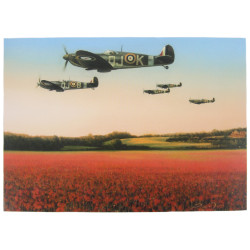Card, Commemorative, Fields of Glory
