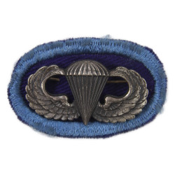 Ovale & brevet de parachutiste, 502nd PIR, 101st Airborne Division