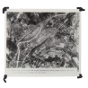 Photo, Aerial, VII Corps, Sieg River, Germany, March 25, 1945 Photo, Aerial, VII Corps, Sieg River, Germany, March 25, 1945