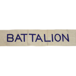 Streamer, Expert Infantry Battalion, US Army