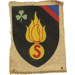 Insignia, 4th Belgian Irish Brigade "Steenstraet".
