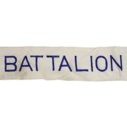 Streamer, Combat Infantry Battalion, US Army