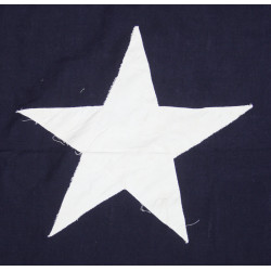Flag, Secretary of the Navy