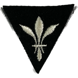 Patch, District of Paris, American Expeditionary Forces