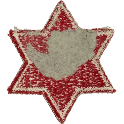 Insigne, 6th Infantry Division
