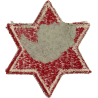 Patch, 6th Infantry Division