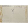 Carte postale, US Paratroops, Camp Mackall