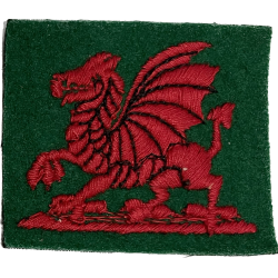 Insigne britannique, South Wales District
