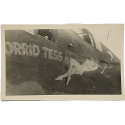 Photo, USAAF, B-24, Nose Art, 'TORRID TESS'