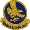 Insigne, 1st Troop Carrier Command