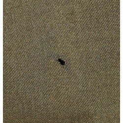 Veste de sortie, Sergeant, Amphibious Engineers, ESB, 38R, 1941