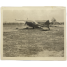 Photo, Normandy, Overlord, Piper Cub