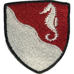 Insigne, 36th Engineer Group