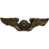Brevet de personnel navigant, Sterling, USAAF, A. E. CO.
