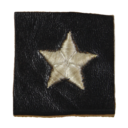 Brigadier General, Rank Insignia, on leather