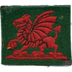 Formation Badge, South Wales District