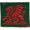 Insigne britannique, South Wales District