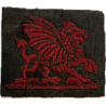 Insigne britannique, South Wales District