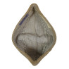 Cap, Service, Seersucker, US Navy, WAVES