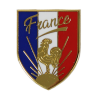 Pin's, France, Coq