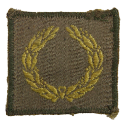 Insigne, Meritorious Unit Citation